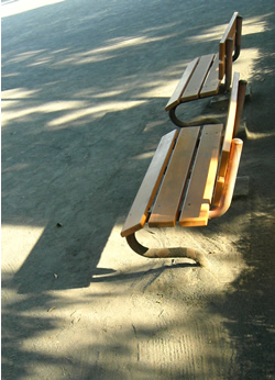 070826_benches.jpg